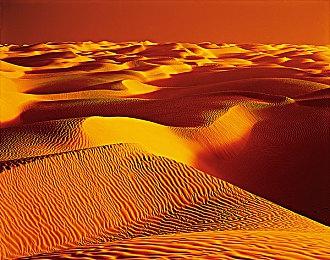 经典FPS《无人永生》开发者坦承 当年移植PS2主机版太失败