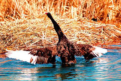 NetherRealm老板透露：工作室新作已经开发3年