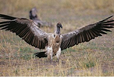 超帅混剪！《泰坦陨落2》自定义服务器MOD正式预告